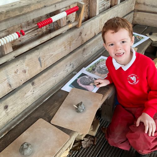 'Spike-tacular' hedgehogs! 🦔