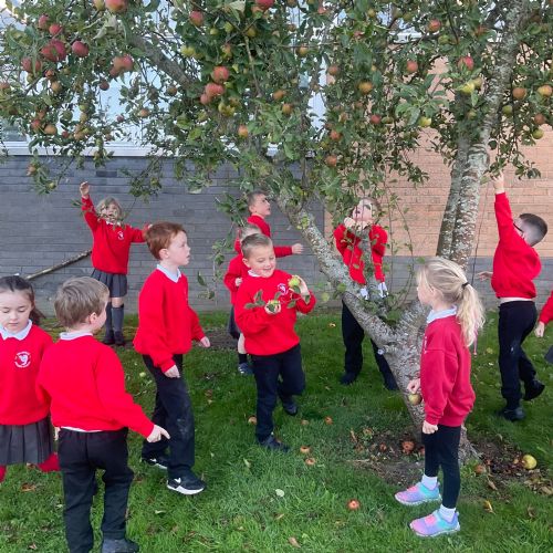 Apples from the Orchard County to apple crumbles in our belly! 🍎