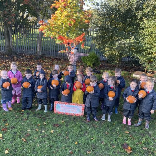 Tullygally Pumpkin Patch 2025